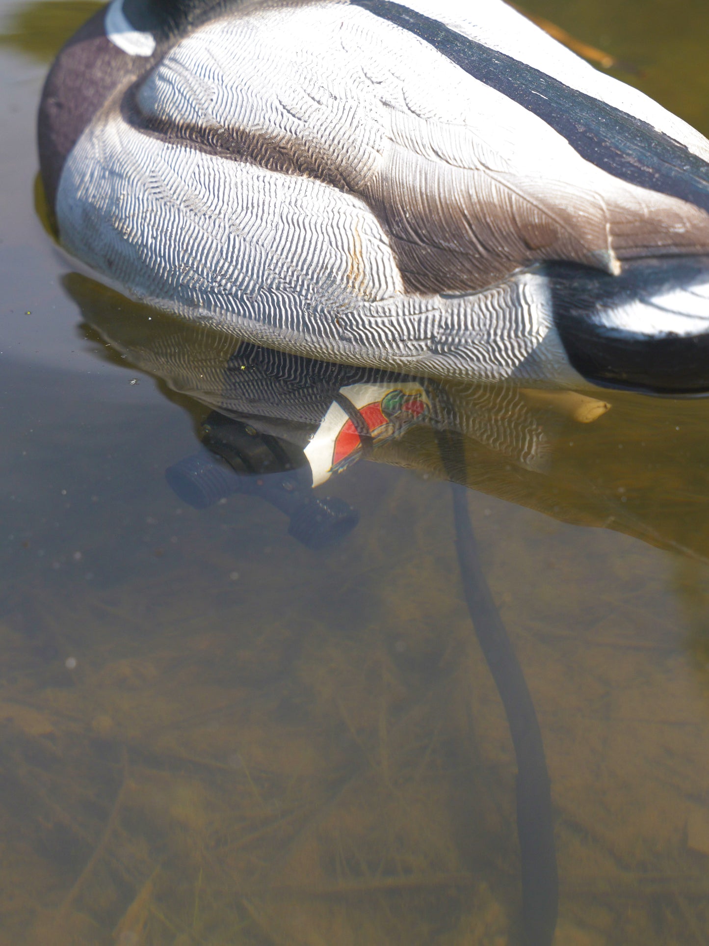 Mallard Mover